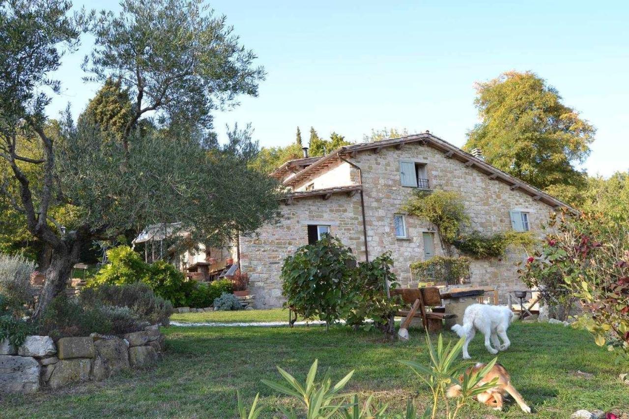 Agriturismo Montesalce Vila Gubbio Exterior foto